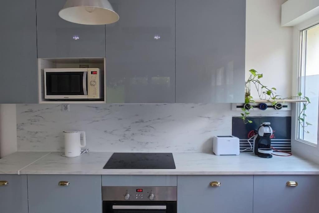 Grand En Face Du Rer A, Parking, Paris 20 Mn, Disneyland 40 Mn Fontenay-sous-Bois